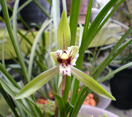 [����]06������԰