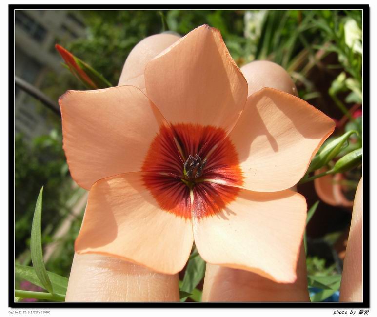 �ﲥ�Ĵ����飪ħ��