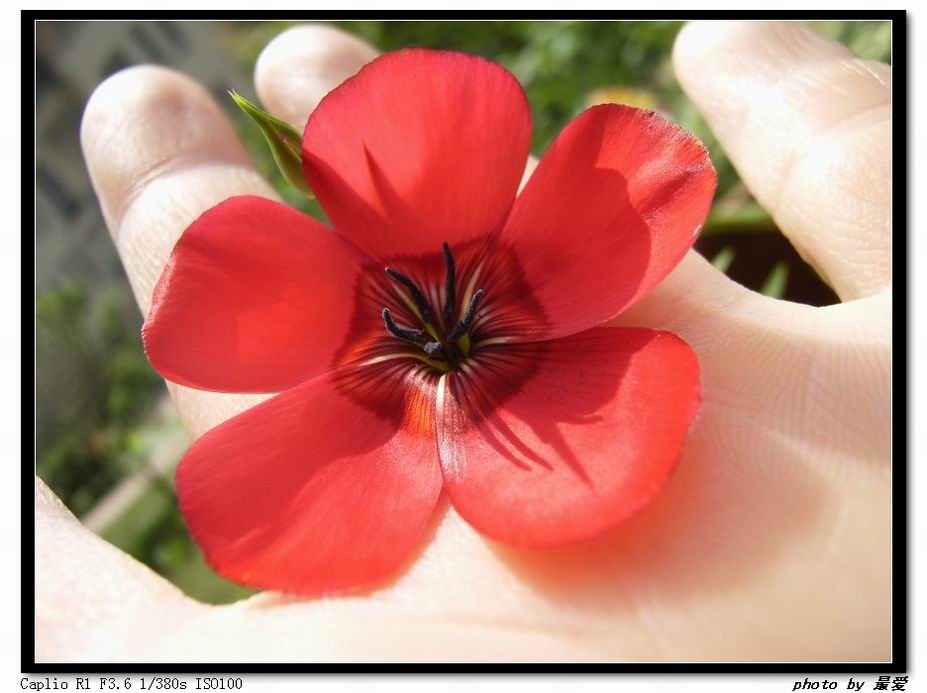 �ﲥ�Ĵ����飪ħ��