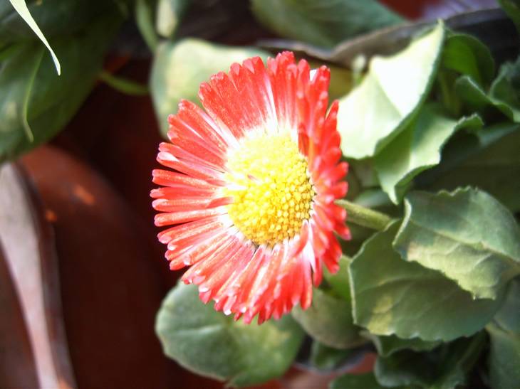 ����,���պ���ˮ��