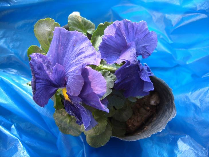 ����,���պ���ˮ��