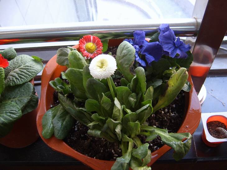 ����,���պ���ˮ��