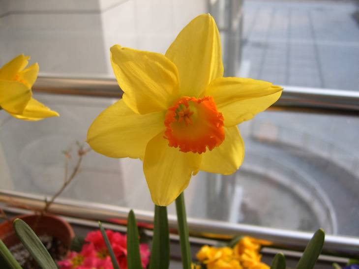 ����,���պ���ˮ��