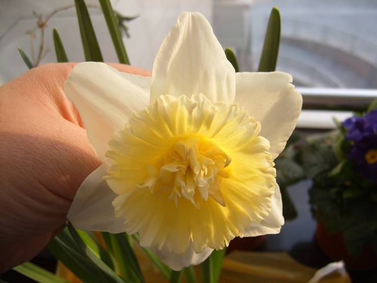 ����,���պ���ˮ��