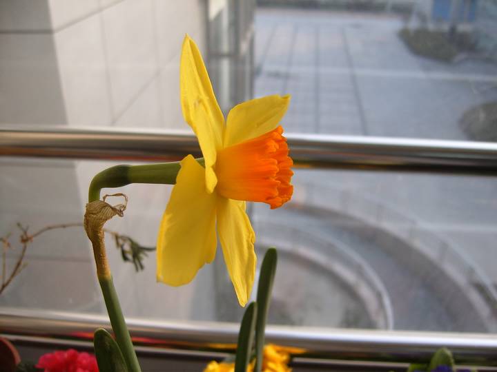 ����,���պ���ˮ��