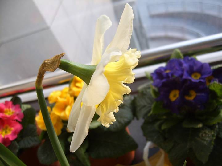 ����,���պ���ˮ��