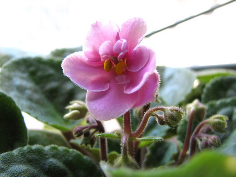 ���¼ҵ�������