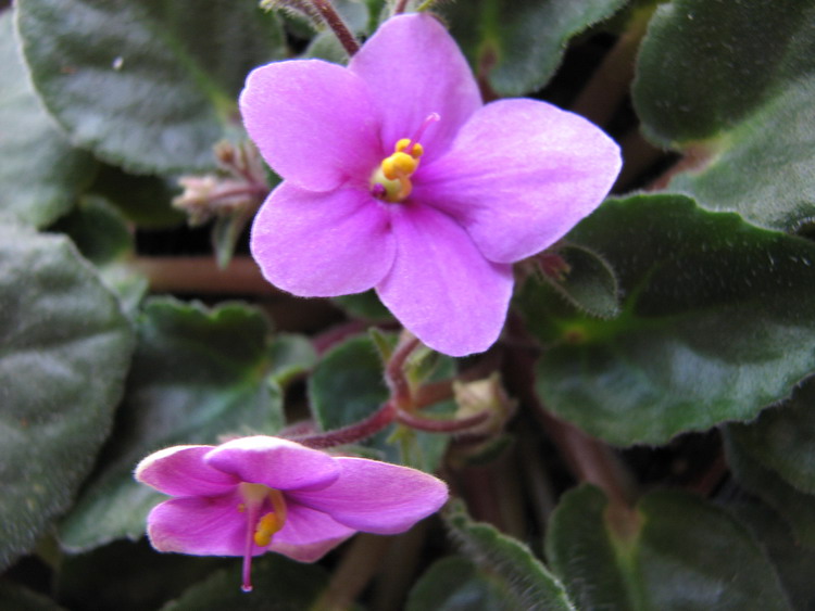 ���¼ҵ�������