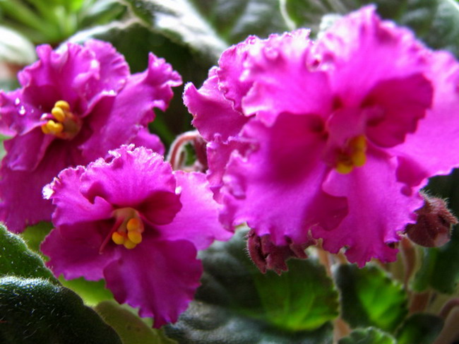 ���¼ҵ�������