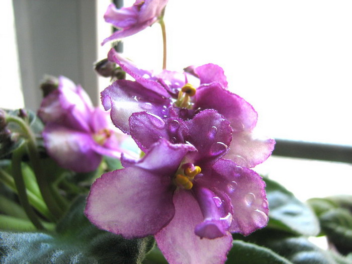 ���¼ҵ�������