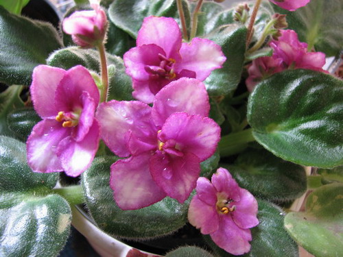 ���¼ҵ�������