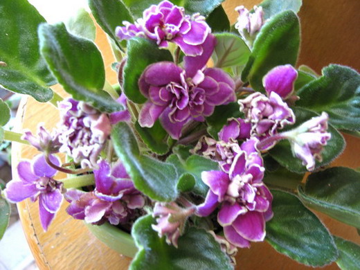 ���¼ҵ�������