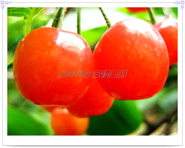 �ֵ�ӣ�Һ���ʱ