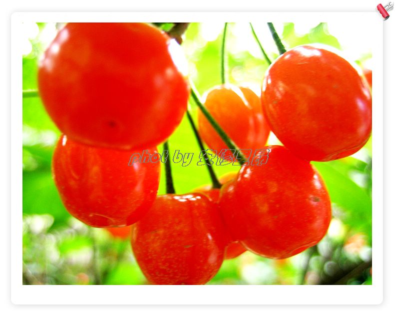 �ֵ�ӣ�Һ���ʱ