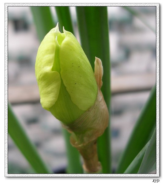 ����һ����ˮ��