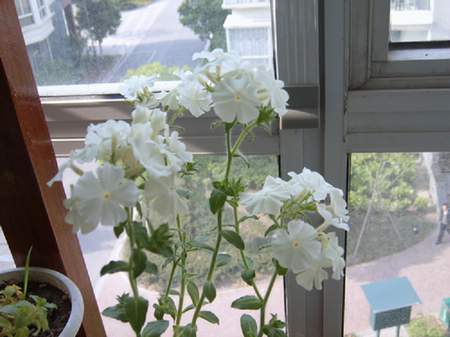 �ﲥ�Ļ����쿪