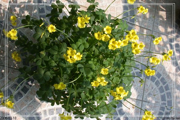 �������������ƻ������л�����