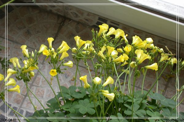 �������������ƻ������л�����