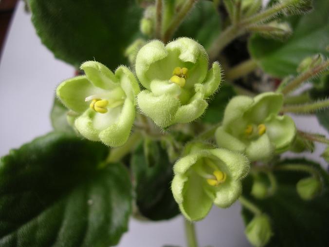 [��ˮ]��������ˮ��