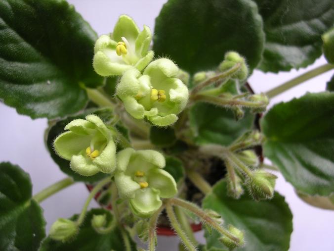 [��ˮ]��������ˮ��