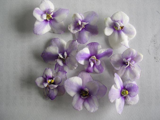 [��ˮ]��������ˮ��