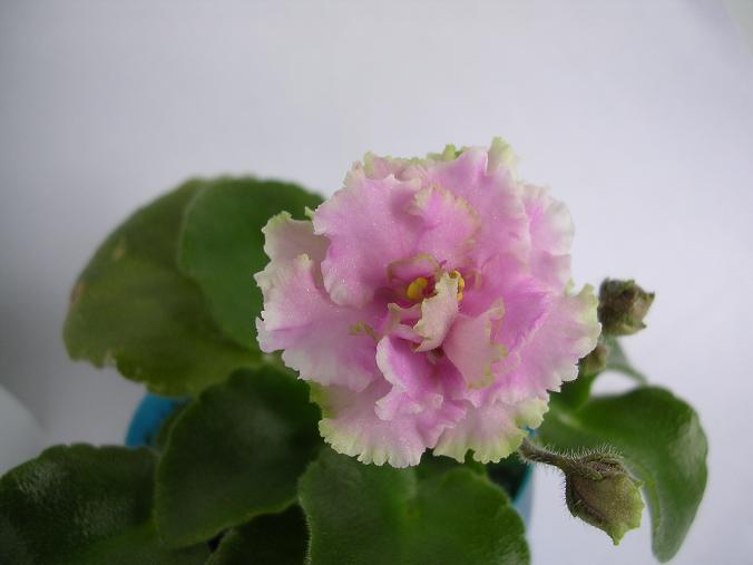 [��ˮ]��������ˮ��