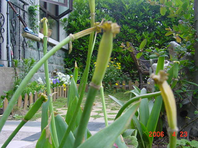 ������Ũ-���İ�ϻ��ֿ�