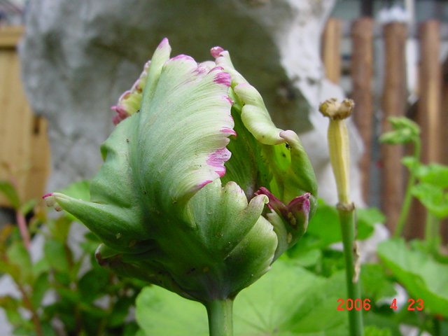 ������Ũ-���İ�ϻ��ֿ�