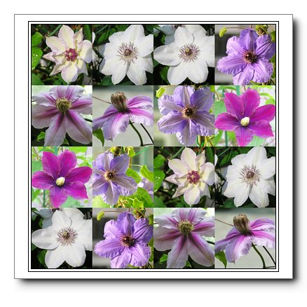 �����˵�������