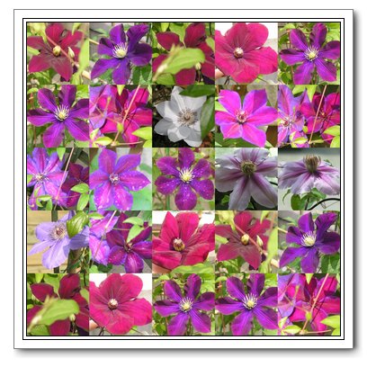 �����˵�������