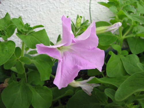 n121ayD6.jpg