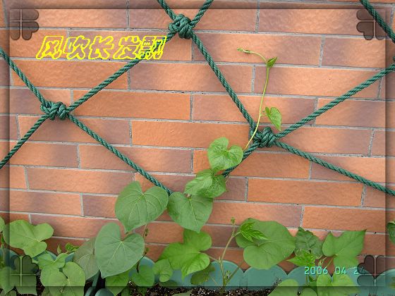 ��ϲ���Ĳ�˹��