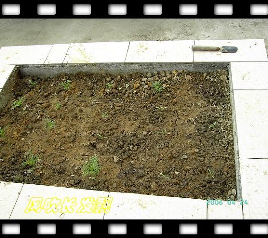 ��ϲ���Ĳ�˹��