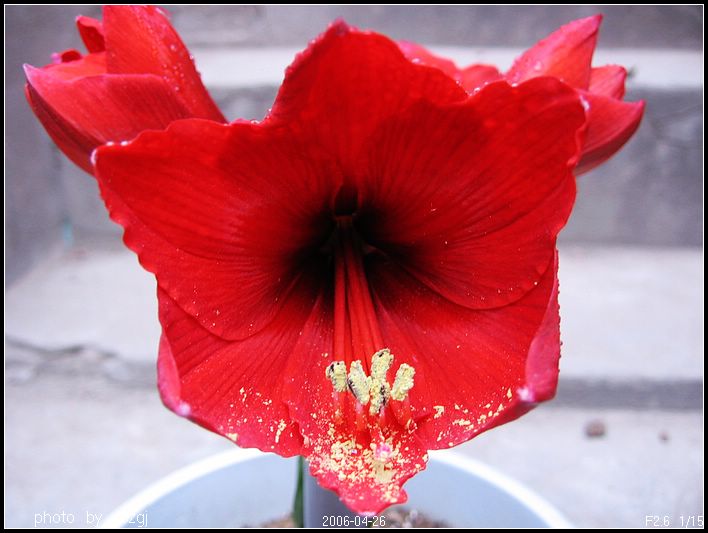 �춥��--��ʨ