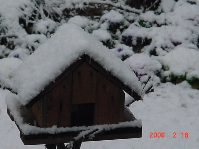 ����СԺ����P6 DIYͥԺˮ��