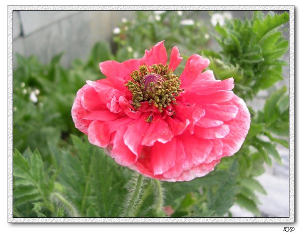 �����˻���