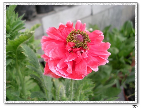 �����˻���