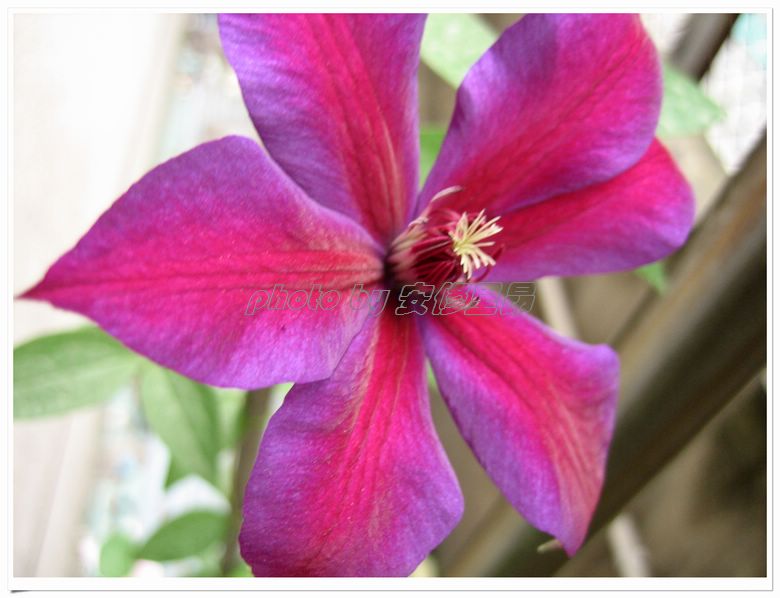 �����˵�������