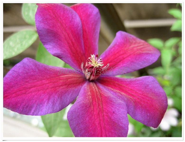 �����˵�������