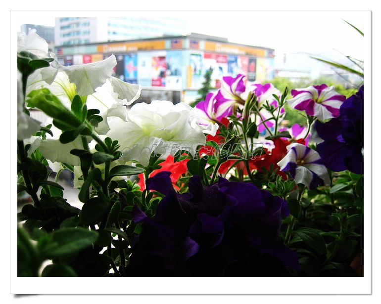 ��78�����̨