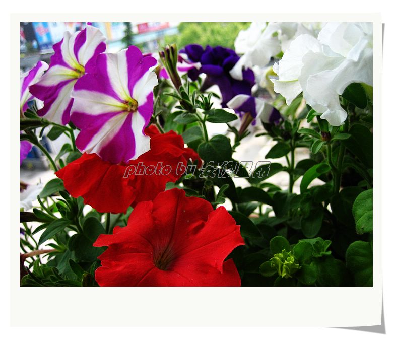 ��78�����̨