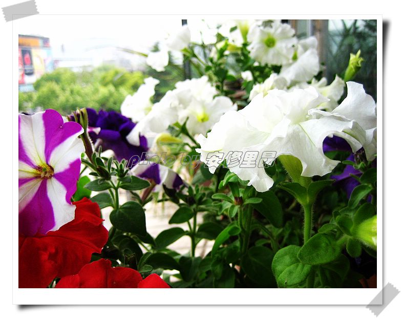 ��78�����̨