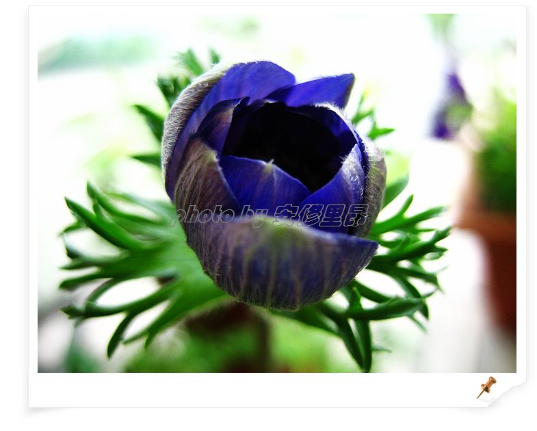 ��78�����̨