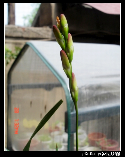 �Ҽ�����