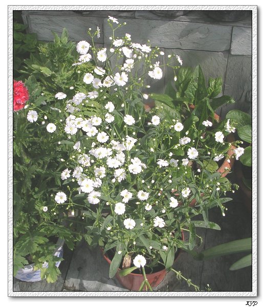 �󻨝M����