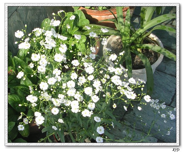 �󻨝M����