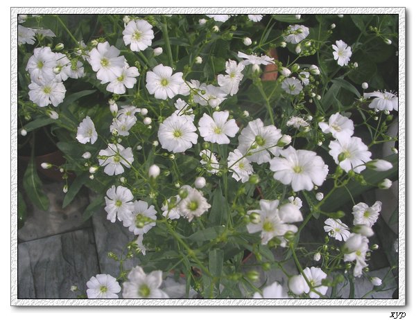 �󻨝M����