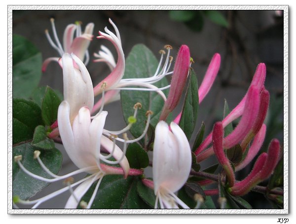 ���������죩