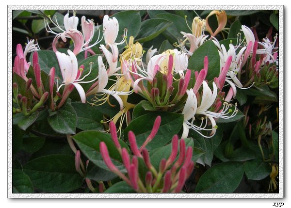 ���������죩