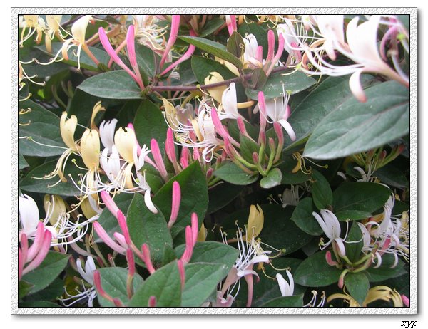 ���������죩